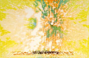 Image description is not available for FIC.209